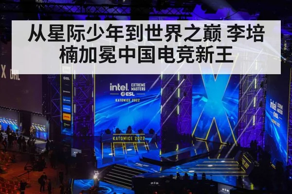 从星际少年到世界之巅 李培楠加冕中国电竞新王