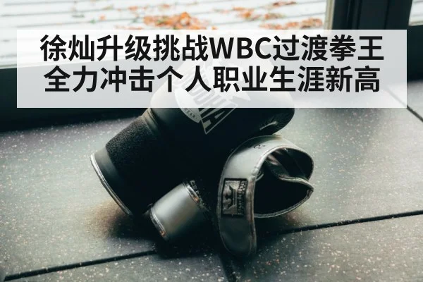 boxing gloves